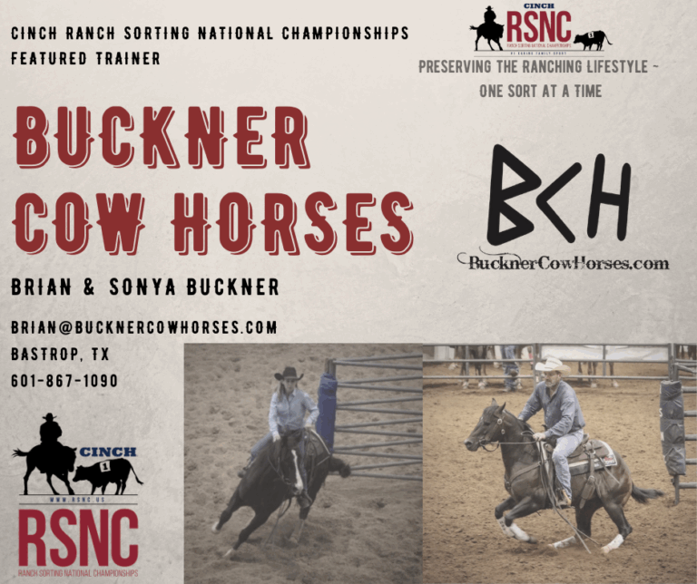 buckner-cow-horses