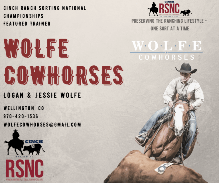 wolfe-cowhorses